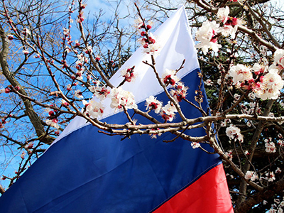Онлайн урок Русская весна