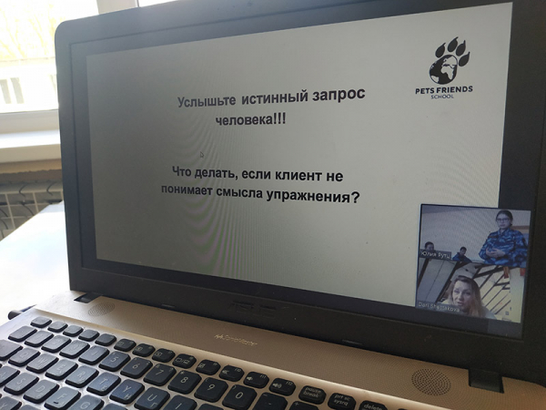 Онлайн встреча с владельцем и основателем онлайн школы &quot;School Pets Friends”
