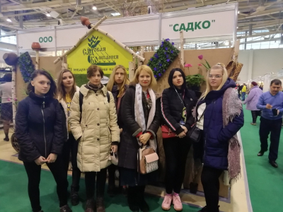 Посещение выставки &laquo;Дача. Сад. Ландшафт&raquo;